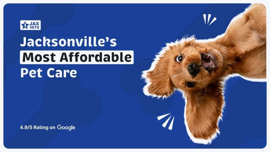 Pets in Jacksonville